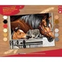 Набор для творчества Sequin Art PAINTING BY NUMBERS SENIOR Stable Dooor Trio (SA1523) - уменьшенное изображение 1