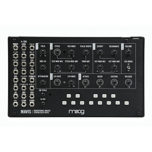 Синтезатор Moog Music Mavis (240985) изображение 1