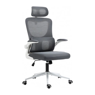 Офісне крісло GT Racer X-5728 White/Gray зображення 1