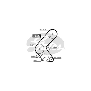 Ремінь ГРМ Gates 5563XS зображення 1