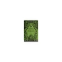 Книга Чорна відьма - Лорі Форест Ще одну сторінку (9786175225738) - зменшене зображення 1