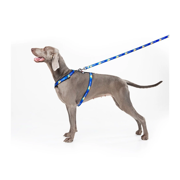 Повідець для собак WAUDOG Nylon "Прапор" S 15 мм х 122 см (4915-0229) - зображення 5