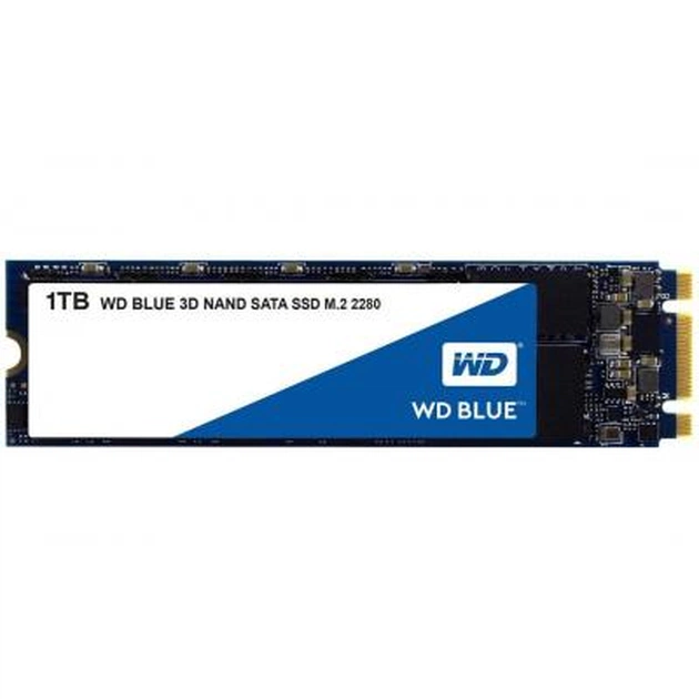 Накопичувач SSD M.2 2280 1TB WD (WDS100T2B0B) - изображение 1