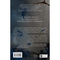 Книга Попіл і проклятий зірками король (Корона Ніаксії #2) - Карісса Бродбент Vivat (9786171713598) - зменшене зображення 2