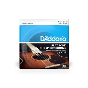 Струни для гітари D'Addario Flat Tops Phosphor Bronze Light (12-53) (EFT16) picture 1