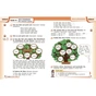 Підручник НУШ Німецька мова. 2 клас + Аудіосупровід - С.І. Сотникова, Г.В. Гоголєва Ранок (9786170988638) - зменшене зображення 6