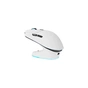Мишка Thunderobot ML7 Tri-mode White with charing dongle (6932066316075) - зменшене зображення 1