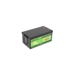 Батарея LiFePo4 ANENJI ANJ-12V-300AH-PX 12,8V 304Ah, 3.84kWh (ANJ-12V-300AH-PX) зображення 1