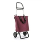 Сумка-візок Rolser Mini Bag Plus MF 2L Burdeos ( MNB042-1060) (931448) - зменшене зображення 2