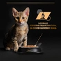 Вологий корм для кішок Purina Pro Plan Cat Nutrisavour Junior Для кошенят Мус з індичкою 75 г (8445290178862) - зменшене зображення 8