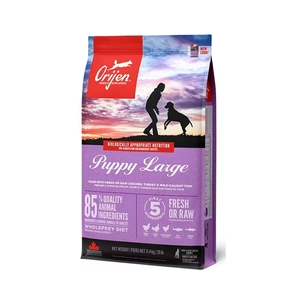 Сухий корм для собак Orijen Puppy Large Breed 11.4 кг (0064992181123) зображення 1