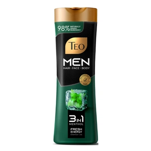 Шампунь Teo Beauty Men 3 in 1 Menthol 350 мл (3800024046797) зображення 1