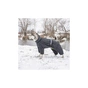 Комбінезон для тварин Pet Fashion "COLD" M2 (сірий) (4823082426270) - зменшене зображення 5