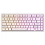 Клавіатура Dark Project ALU81 Terra Nostra PBT RGB Mech G3MS Moonstone White (DPKB_NOSTRA_81_ANSI_WHITE_UA) - зменшене зображення 2
