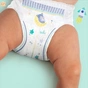 Підгузки трусики нічні Night Pants Розмір 6 (15+ Pampers (8006540234761) - зменшене зображення 7