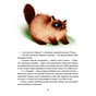 Книга Морськосвинський детектив - Iван Андрусяк Vivat (9789669821508) - зменшене зображення 12