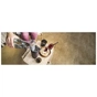 Портативная кофеварка Wacaco Pixapresso Dark Burgundy (WPIXADB) - уменьшенное изображение 27
