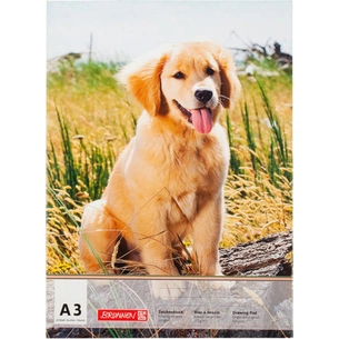 Альбом для малювання Brunnen А3 20 аркушів 120 г/м2 в асортименті (1047345) зображення 1