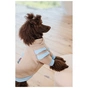 Светр для тварин Pet Fashion Home М (4823082434992) - зменшене зображення 6