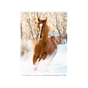 Календар Axent настінний А3 2026 р. Horses (8804-26-3-A) - уменьшенное изображение 2