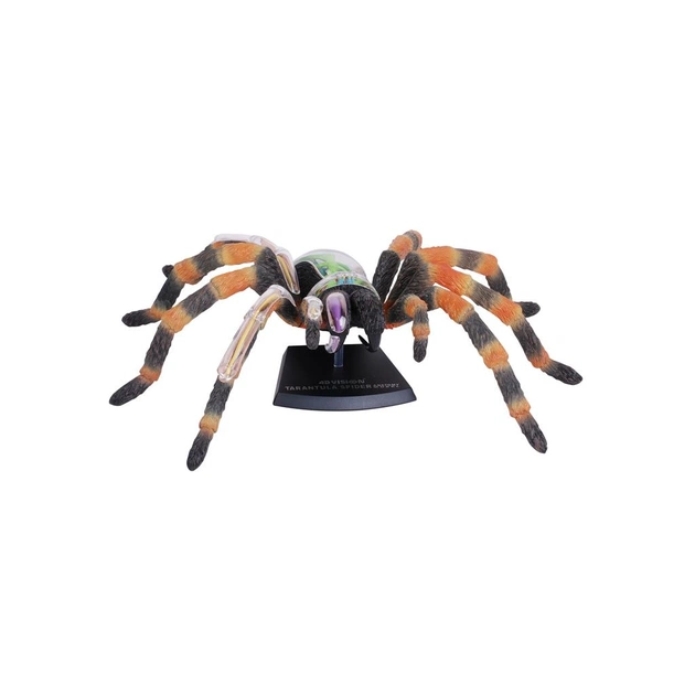 Пазл 4D Master Павук Тарантул (FM-622032) - picture 7