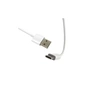 Аксесуар до екшн-камер AirOn ProCam 7/8 cable USB Type-C 3m (69477915500107) - зменшене зображення 2