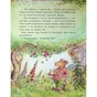 Книга Щасливі дні Миша і Крота - Джойс Данбар Ранок (9786170994561) - зменшене зображення 11
