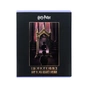 Зошит Kite Harry Potter, 48 аркушів, клітинка (HP26-259) - зменшене зображення 8