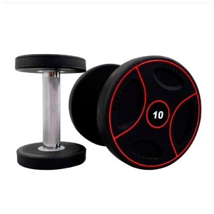 Гантель Stein з поліуретановим покриттям 10 кг (DB3110-10) зображення 1