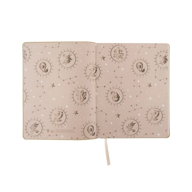 Щоденник шкільний Kite Harry Potter, м'яка обкладинка (HP25-283) - picture 3