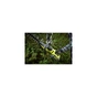 Кущоріз Ryobi RY36HTX65A-0, 36В MAX POWER, лезо 65 см, насадка HedgeSweep (без АКБ та ЗУ) (5133005076) - уменьшенное изображение 5