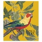 Зошит Школярик Birds 60 аркушів клітинка (060-3410K) - зменшене зображення 4