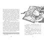 Книга Таємниця картини - Наталія Шостак Ранок (9786170999313) - зменшене зображення 5