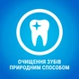 Ласощі для собак Purina DentaLife Medium Для підтримки здоров'я порожнини рота 115 г (7613035379794) - уменьшенное изображение 6