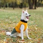 Попона для тварин Pet Fashion ROY 2XL хакі-гірчиця (4823082432844) - уменьшенное изображение 8
