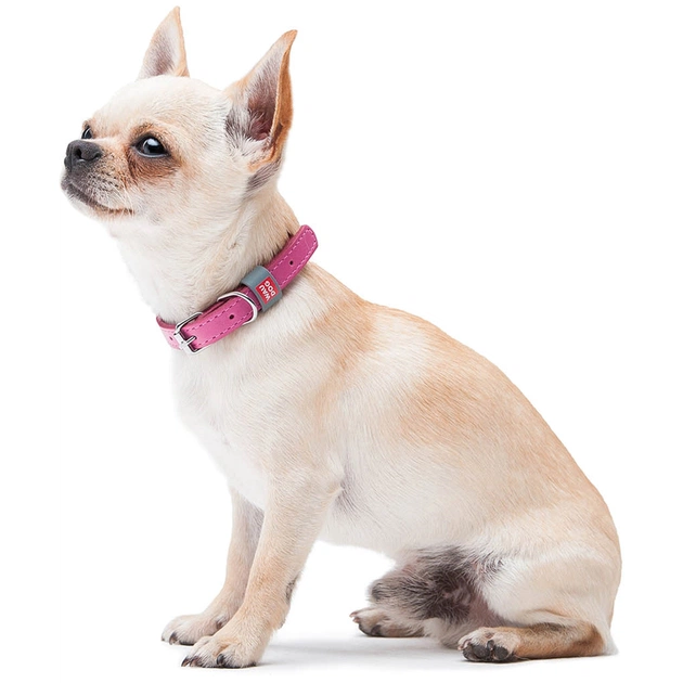 Нашийник для тварин WAUDOG Classic шкіряний 12 мм х 19-25 см рожевий (02017) - picture 5