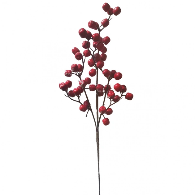 Декоративна гілка YES! Fun Червоні ягоди Засніжені 48 см (974997) - picture 1