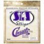 Струни для гітари SIT Strings ECM101 (30-40) (226932) - зменшене зображення 1