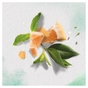 Шампунь Herbal Essences Білий грейпфрут та м’ята 400 мл (8006540318492) - зменшене зображення 4