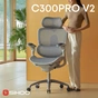 Крісло офісне Sihoo Doro C300 PRO V2 White (C300-PRO-V2-B102) - зменшене зображення 2
