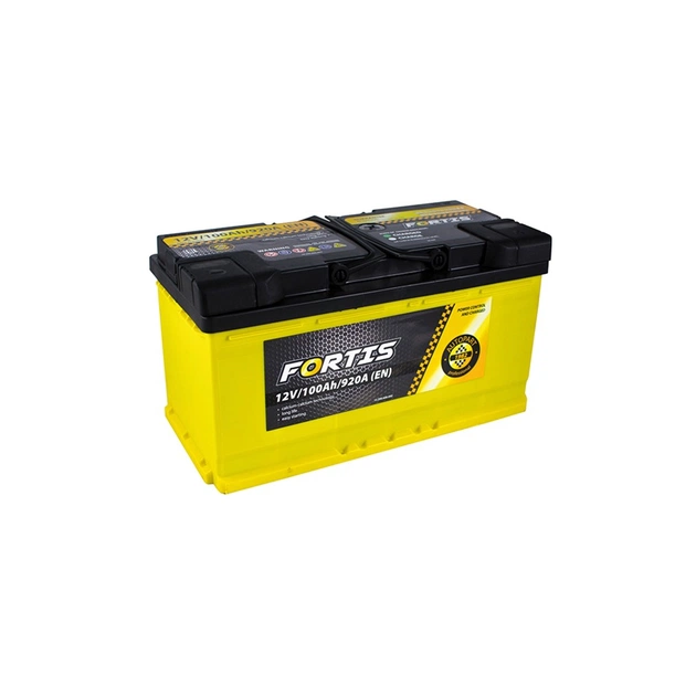 Акумулятор автомобільний FORTIS 100 Ah/12V Euro (FRT100-00) - зображення 1