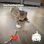 Іграшка для котів Petstages Колесо червоне (0871864007159) - зменшене зображення 7