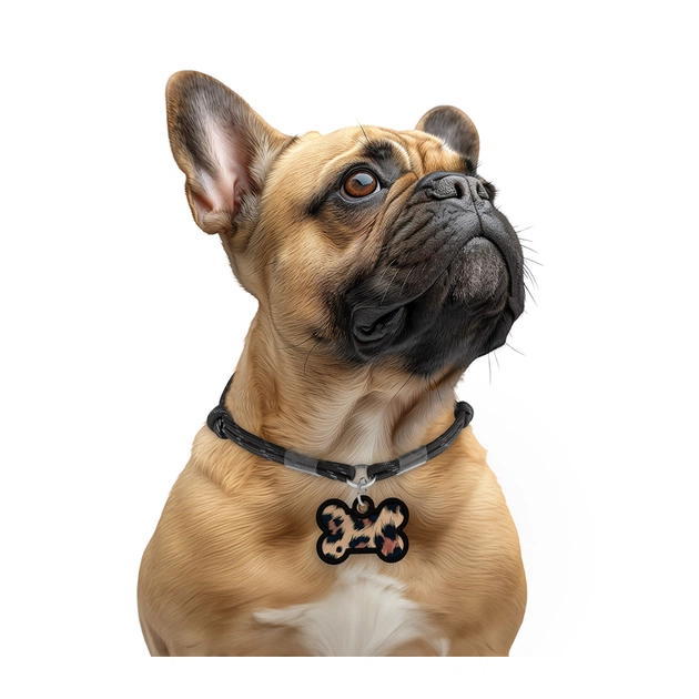 Адресник для тварин WAUDOG Smart ID з QR паспортом "Леопард", кістка 40х28 мм (231-4066) - picture 6