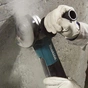 Шліфувальна машина Makita 9565PCV - зменшене зображення 3