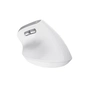 Мишка Trust Bayo II Ergonomic Wireless White (25398) - зменшене зображення 6