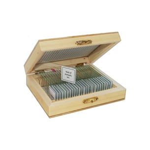 Набір мікропрепаратів Sigeta Анатомія 25 шт (65105) picture 1