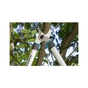 Секатор Gardena EasyCut 680 B + секатор до 18 мм Classic (арт.8754-20) (12003-30.000.00) - зменшене зображення 3