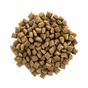 Сухий корм для кішок Brit Care Cat GF Sterilized Weight Control 2 кг (8595602540792) - зменшене зображення 4