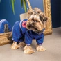 Дощовик для тварин Pet Fashion Silver M (4823082429943) - зменшене зображення 3