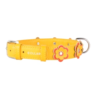 Нашийник для тварин Collar GLAMOUR з оздобленням "Аплікація" Ш 25 мм Д 38-49 см помаранчевий (35034) зображення 1